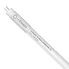 Ledvance LED Rör T5 Value Short (HF) High Efficiency 7W 770lm - 830 Varm Vit | 52cm - Ersättare 13W