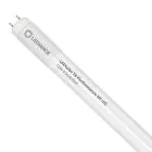 Ledvance LED Rör T8 Performance (HF) Ultra Output 15W 2400lm - 840 Kallvit | 120cm - Ersättare 36W