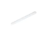 Philips LED Allmänbruksarmatur CoreLine BN126C 31W 4100lm - 840 Kallvit | 120cm - 1x Kabelgenomföring