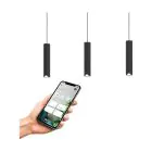 Eglo Pendellampa Balamorta-Z Stål Svart 3.7W 500lm - 827-865 Justerbar Vit + RGB | IP20 - Zigbee Dimbar